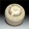 Vintage Japanese Pottery Matcha Bowl by  Sadamitsu Sugimoto Depicting a Turtle